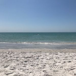 Meet your Posher, Ash